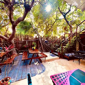  Auberge de jeunesse Holbox Hostal Mexique